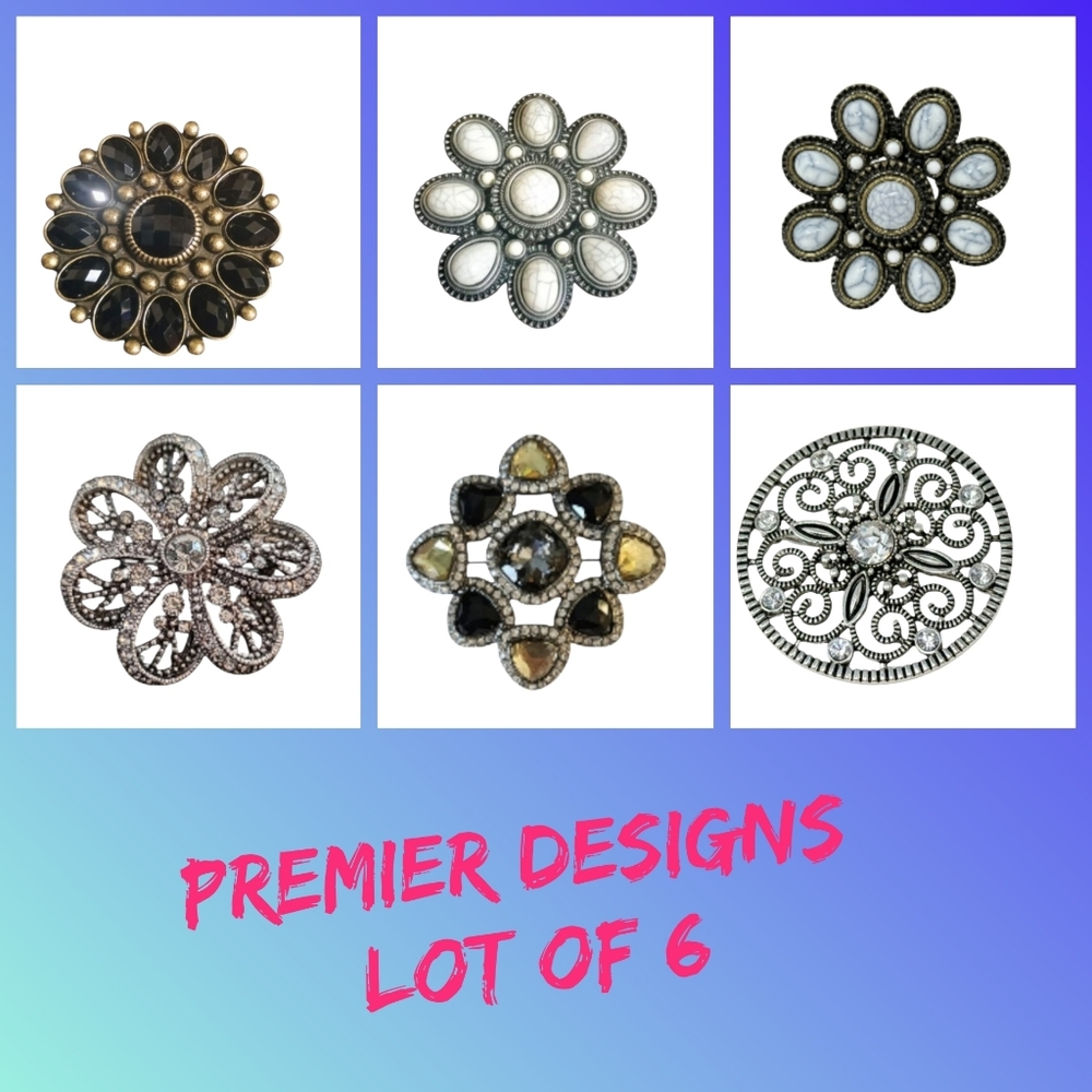 NWOT Lot Of 6 PREMIER DESIGNS Broach Pendants